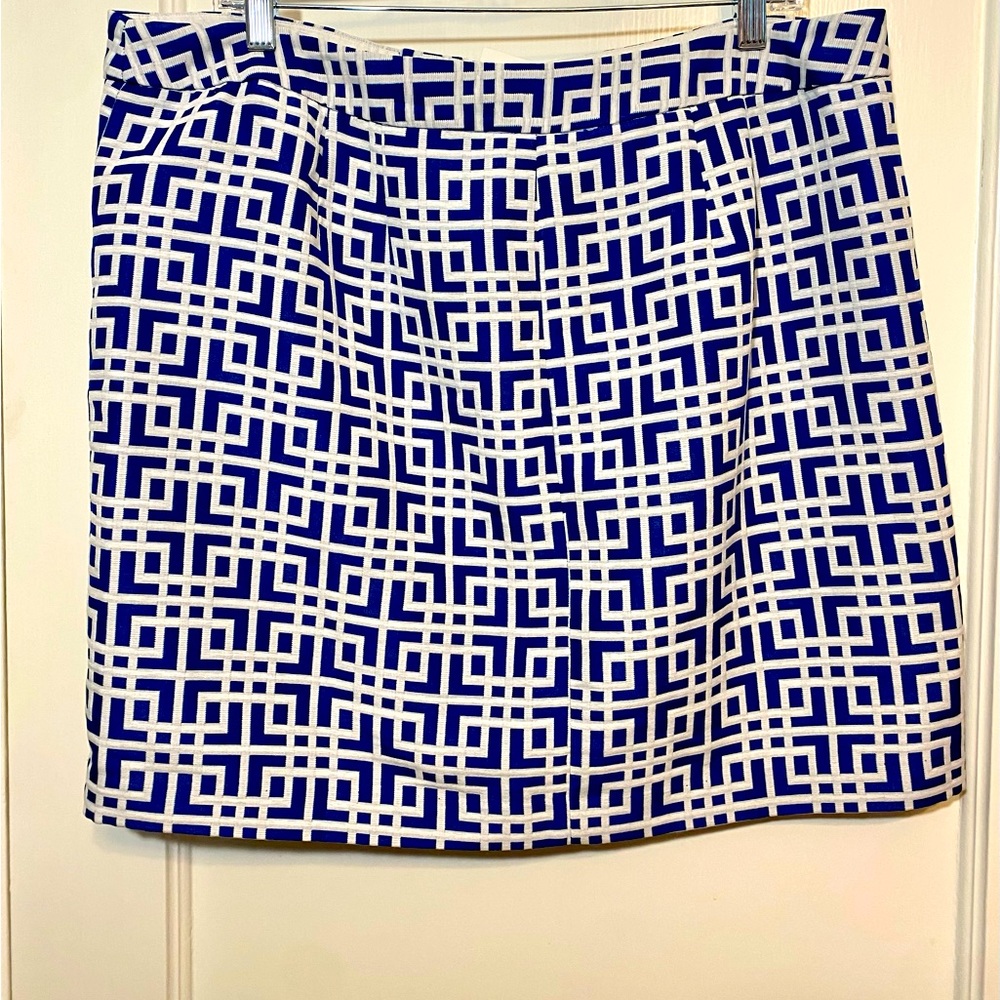 Ann Taylor Loft Blue Skirt